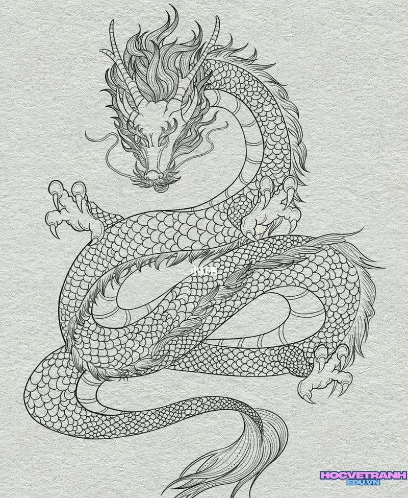 vẽ tranh con rồng chất