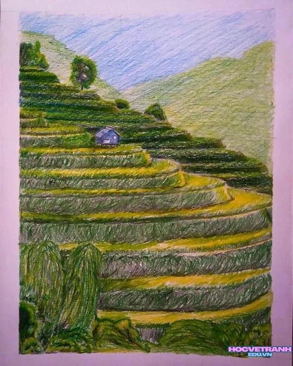 vẽ tranh ruộng bậc thang