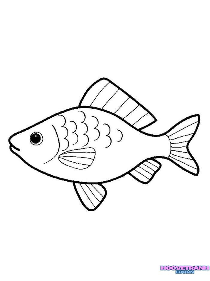 ảnh tranh tô màu con cá siêu đáng yêu
