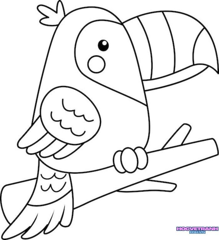ảnh tranh tô màu con chim đẹp nhất