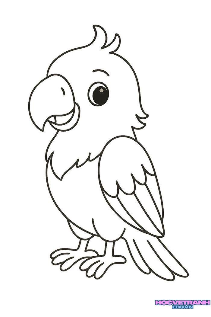 ảnh tranh tô màu con chim siêu đẹp