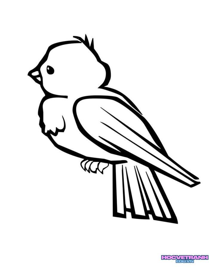 ảnh tranh tô màu con chim siêu xinh
