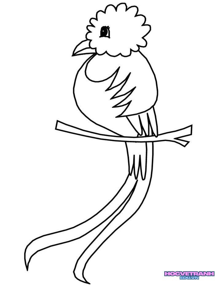 ảnh tranh tô màu con chim xinh