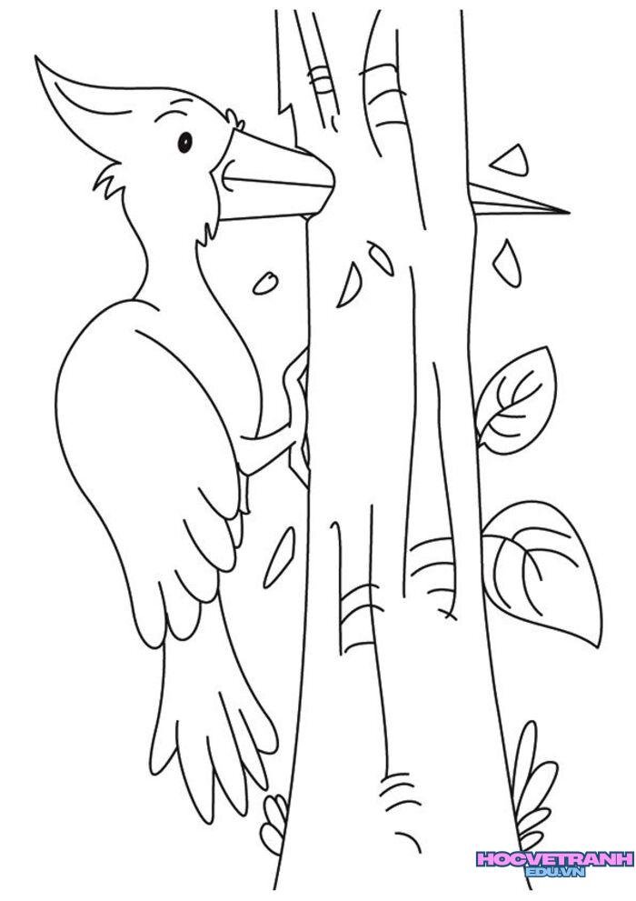 ảnh tranh tô màu con chim