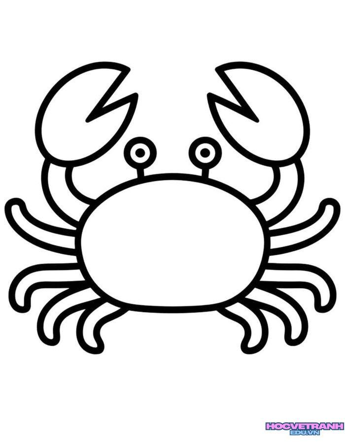 ảnh tranh tô màu con cua cute