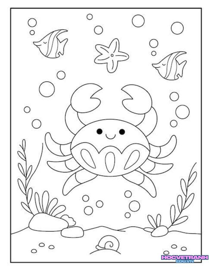 ảnh tranh tô màu con cua đẹp