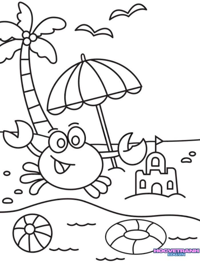 ảnh tranh tô màu con cua