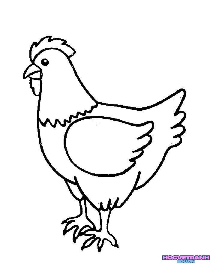 ảnh tranh tô màu con gà cực đẹp