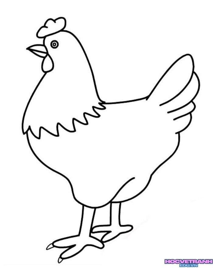 ảnh tranh tô màu con gà cute xinh