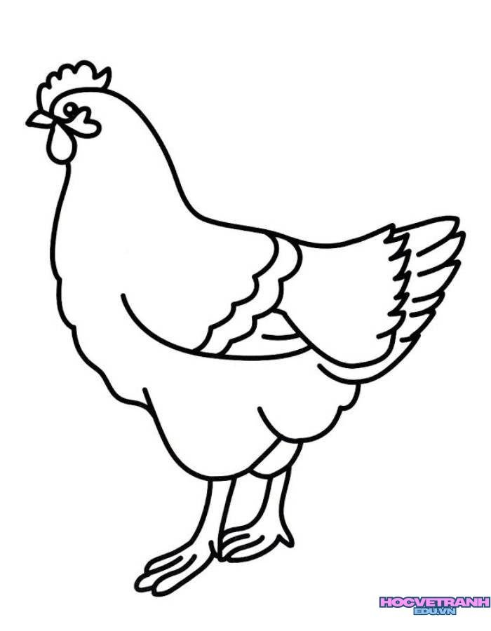 ảnh tranh tô màu con gà siêu đáng yêu