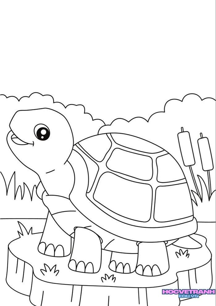 ảnh tranh tô màu con rùa cute