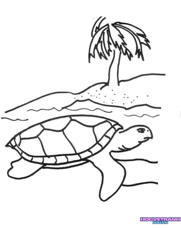 ảnh tranh tô màu con rùa đáng yêu