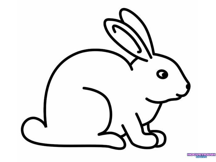 ảnh tranh tô màu con thỏ cute nhất