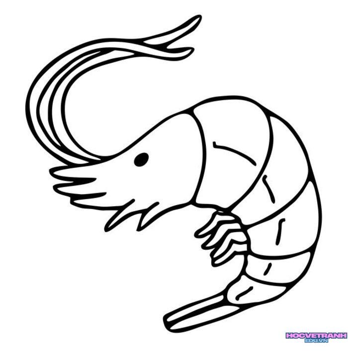 ảnh tranh tô màu con tôm cực xinh