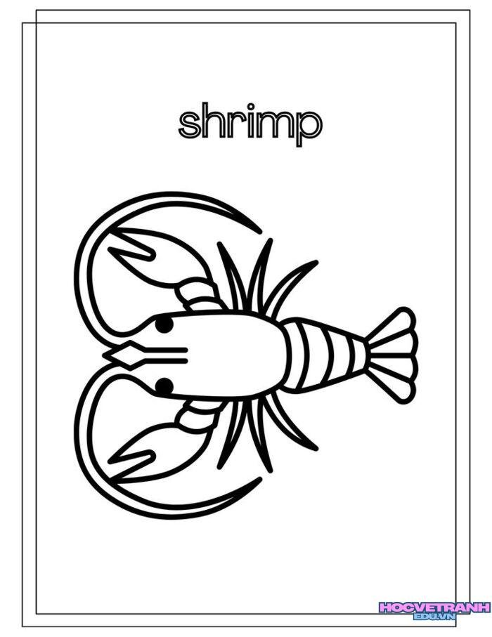 ảnh tranh tô màu con tôm