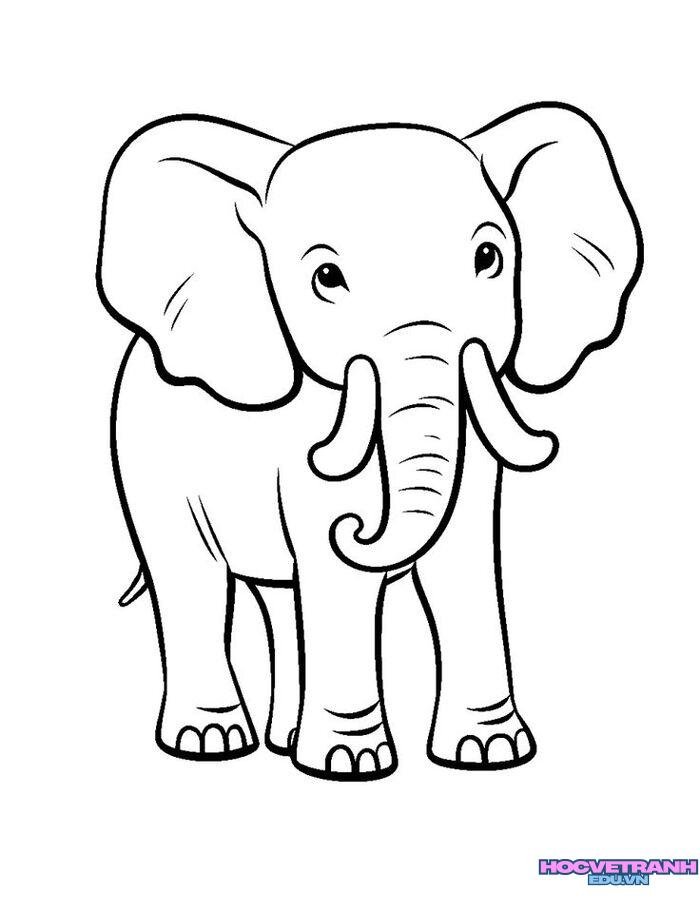 ảnh tranh tô màu con voi xinh