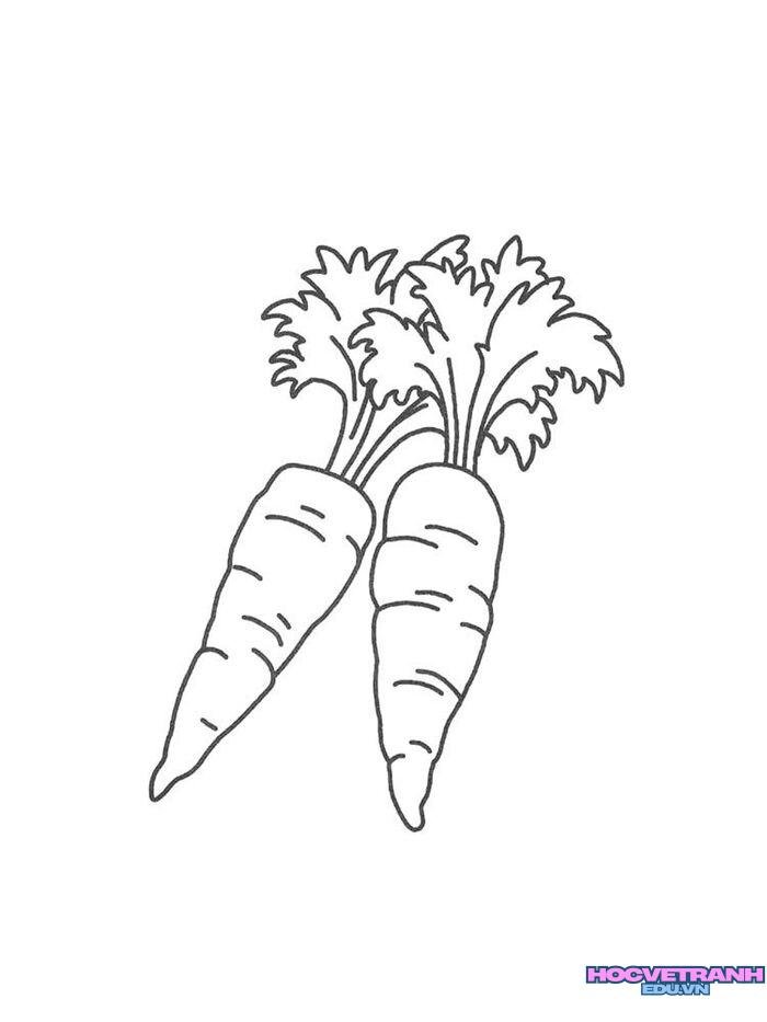 ảnh tranh tô màu củ cà rốt cute nhất