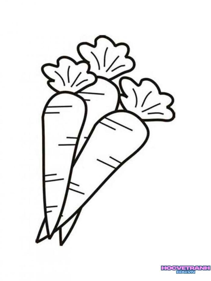 ảnh tranh tô màu củ cà rốt cute