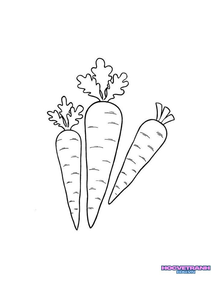 ảnh tranh tô màu củ cà rốt đáng yêu nhất
