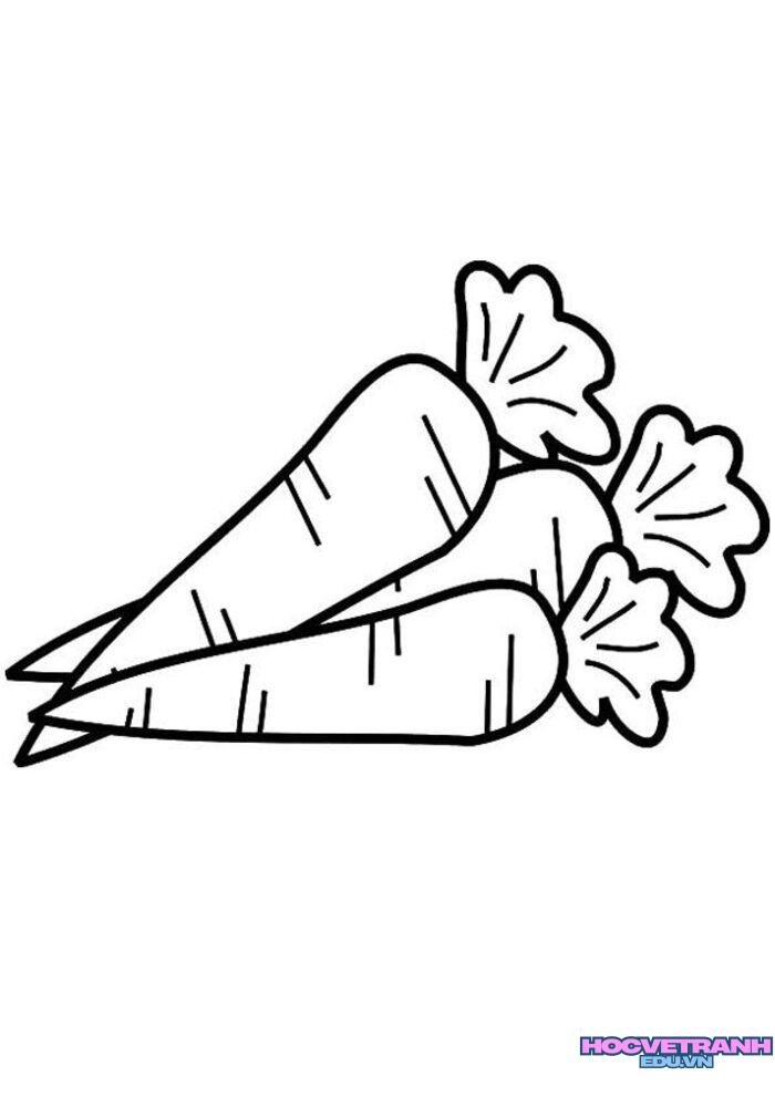 ảnh tranh tô màu củ cà rốt đẹp nhất