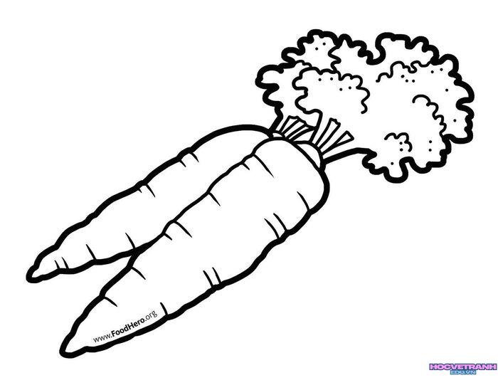 ảnh tranh tô màu củ cà rốt siêu đáng yêu