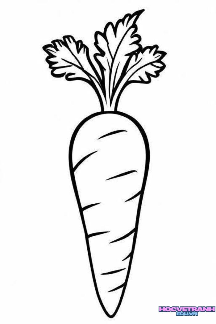 ảnh tranh tô màu củ cà rốt siêu đẹp