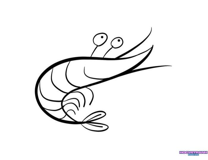 hình ảnh tranh tô màu con tôm cực đẹp