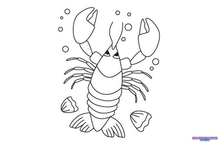 hình ảnh tranh tô màu con tôm