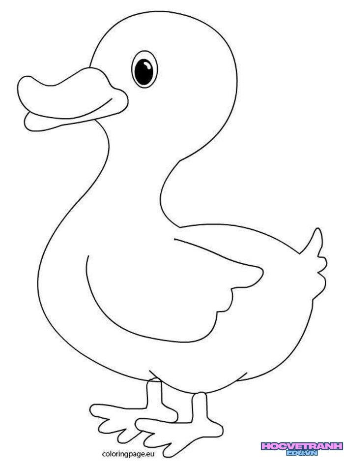 hình ảnh tranh tô màu con vịt cực cute