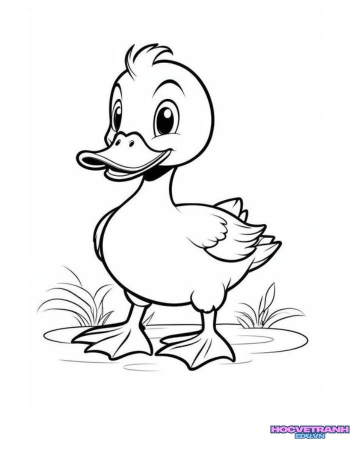 hình ảnh tranh tô màu con vịt