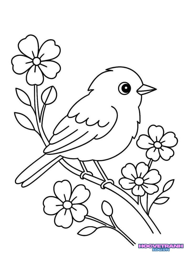 tranh tô màu con chim xinh