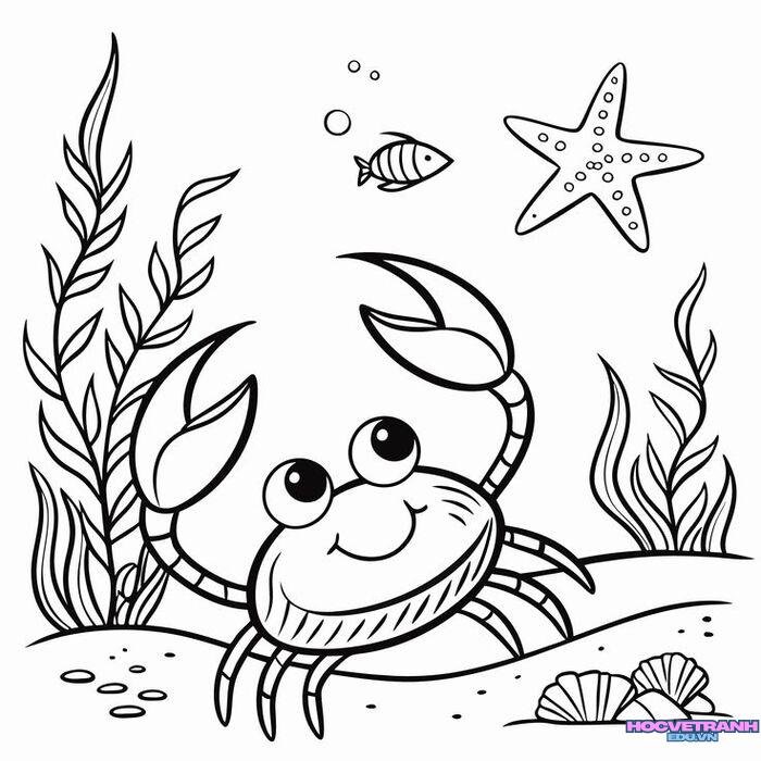 tranh tô màu con cua cute nhất