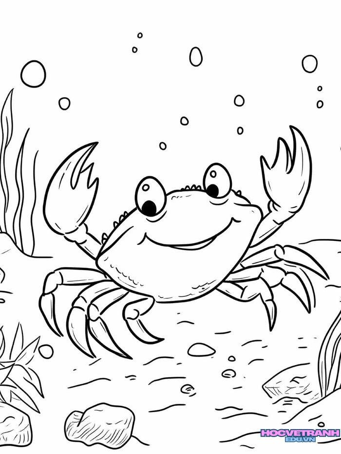 tranh tô màu con cua đẹp cute