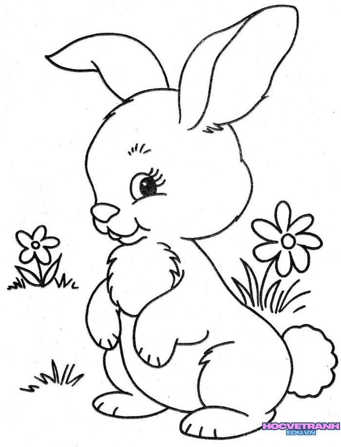 tranh tô màu con thỏ siêu xinh