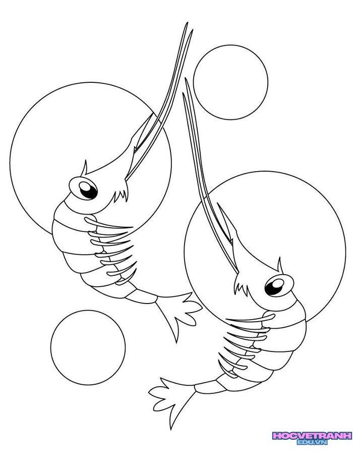tranh tô màu con tôm xinh nhất