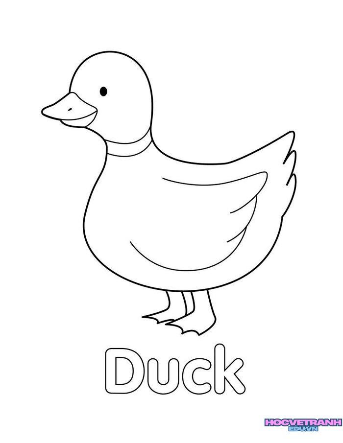 tranh tô màu con vịt