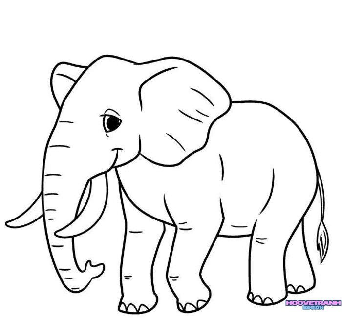 tranh tô màu con voi xinh nhất
