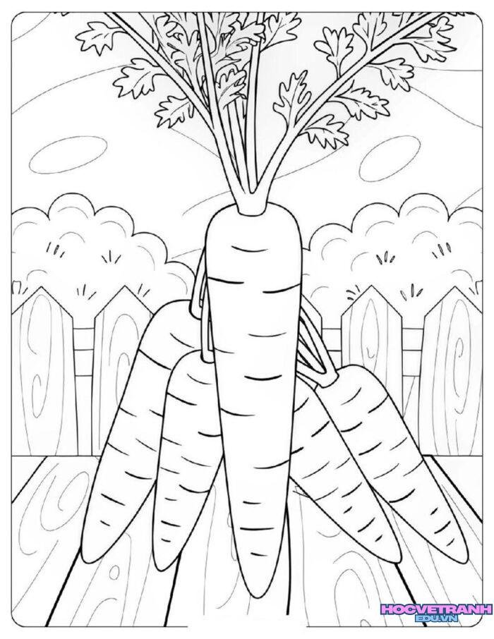 tranh tô màu củ cà rốt cực đẹp