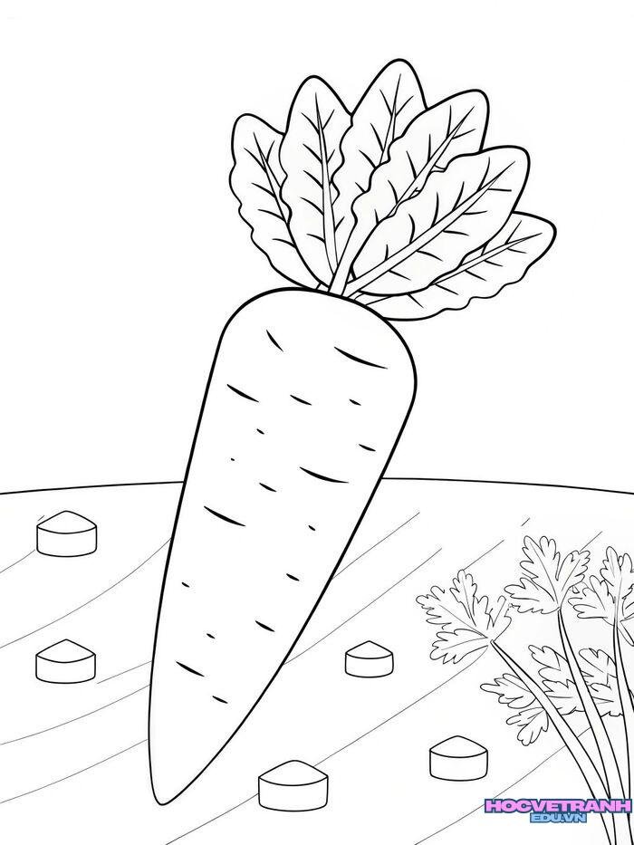 tranh tô màu củ cà rốt cực xinh