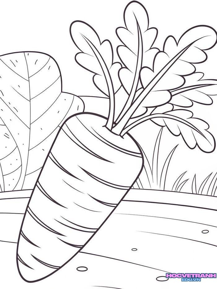 tranh tô màu củ cà rốt đẹp nhất