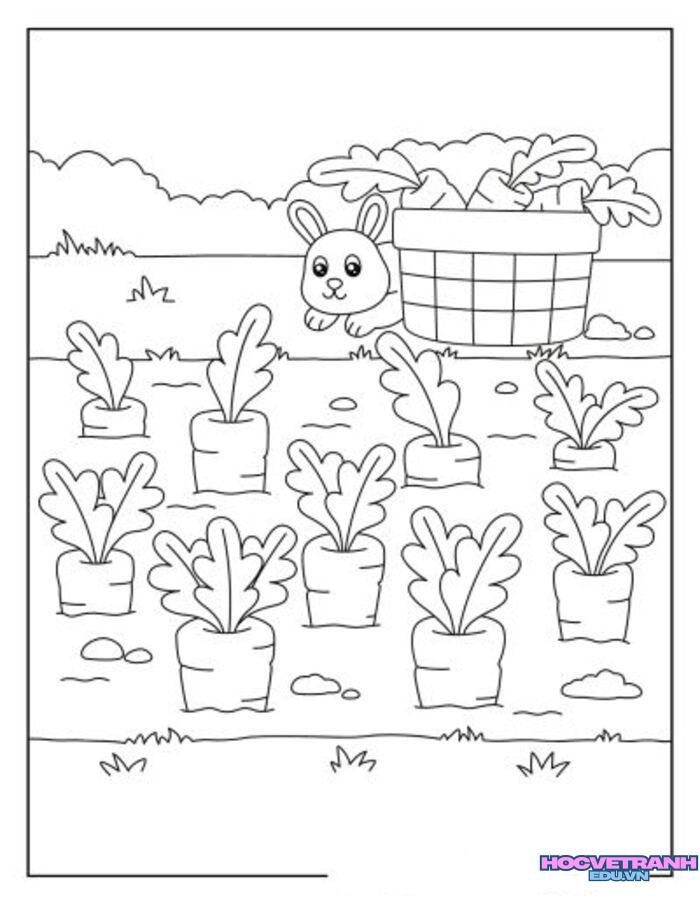 tranh tô màu củ cà rốt siêu xinh