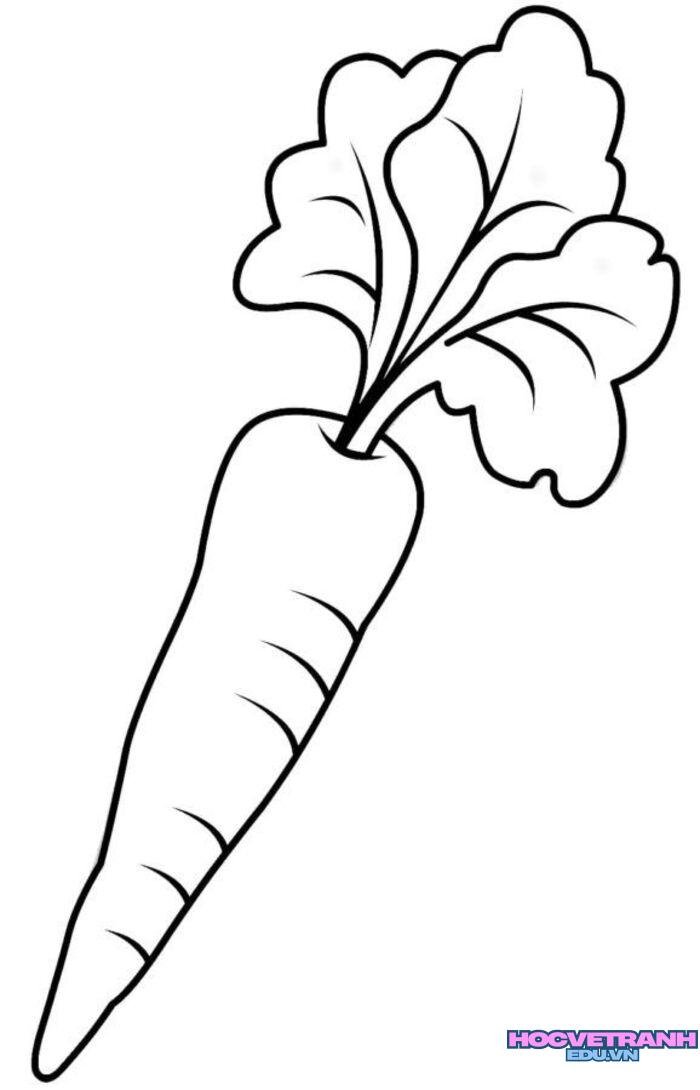 tranh tô màu củ cà rốt