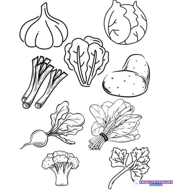 tranh tô màu rau củ quả 3
