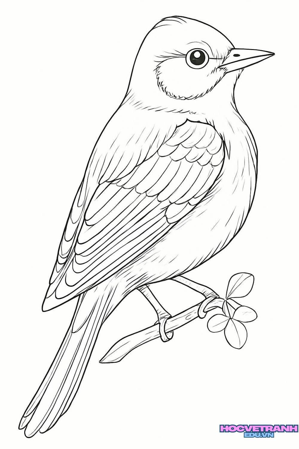 tranh tô màu con chim dễ