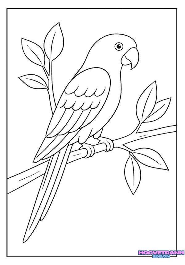 tranh tô màu con chim đơn