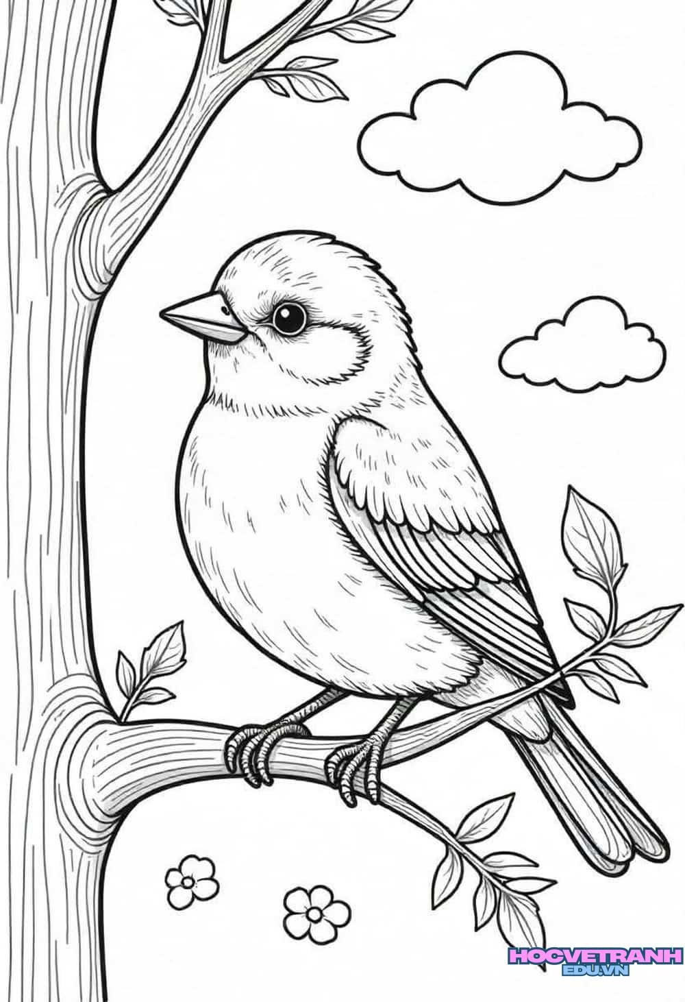 tranh tô màu con chim hót