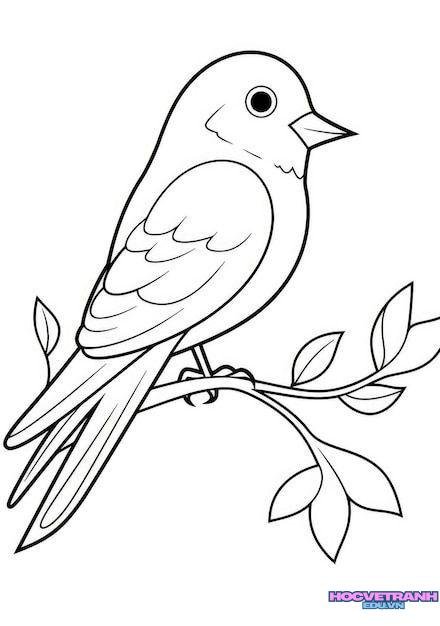 tranh tô màu con chim xinh
