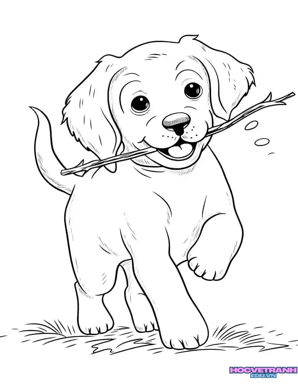 tranh tô màu con chó nhỏ