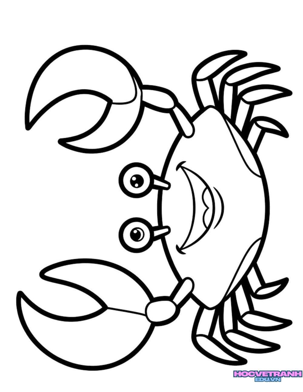 tranh tô màu con cua bò