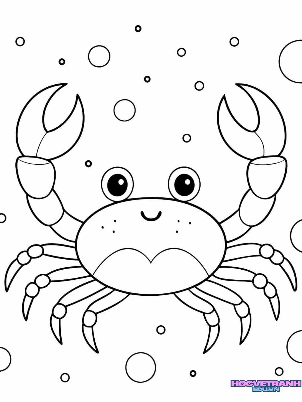 tranh tô màu con cua đẹp